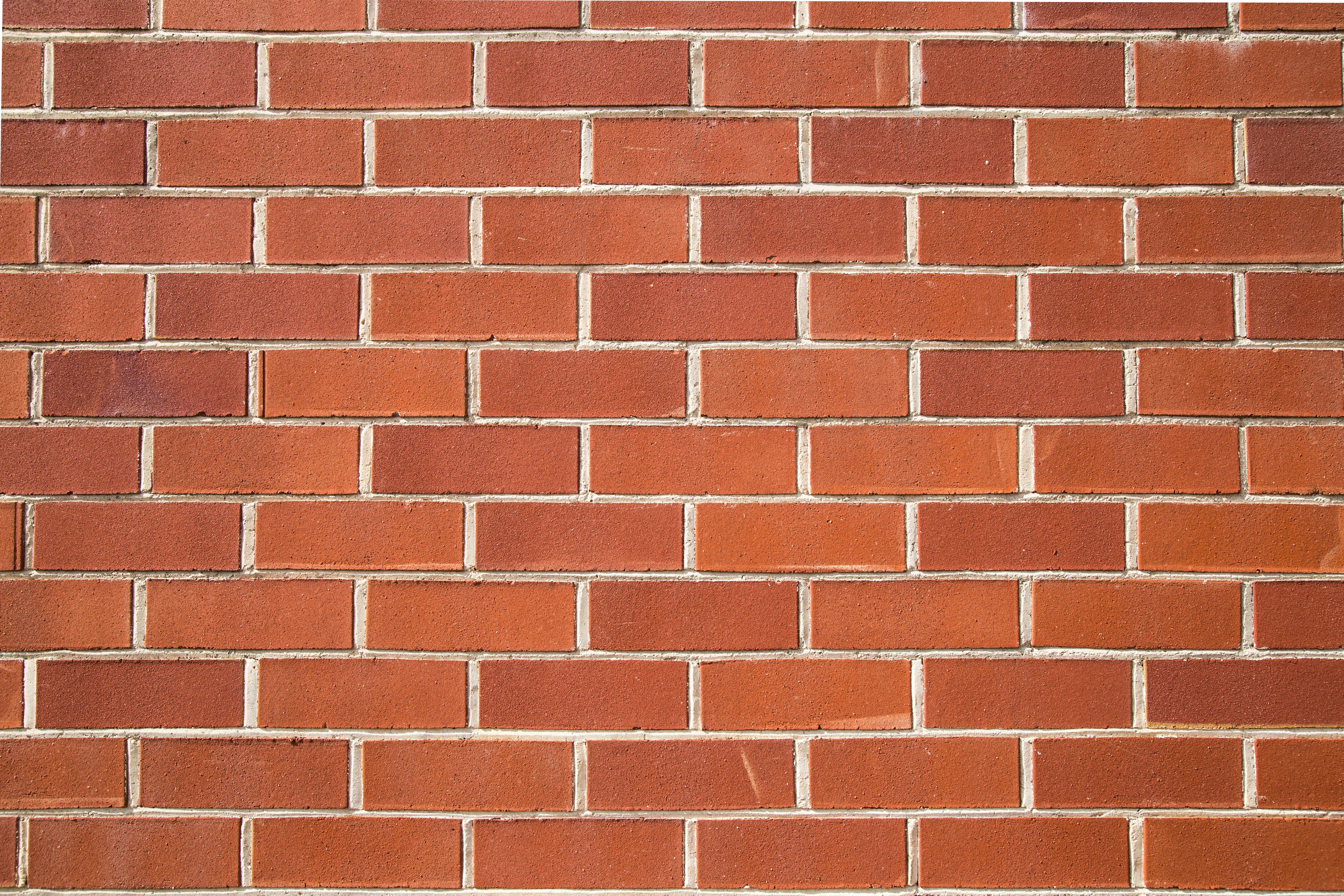 Patio Pointing Project